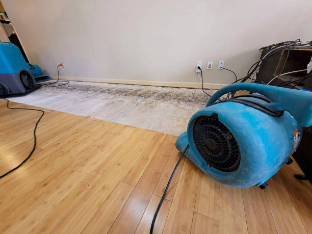 Professional Basement Flood Cleanup technician working in Elkton, MN